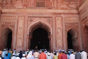 Fatehpur, Bird Sanctuary, Chand Baori Jaipur Drop From Agra