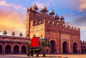 Fatehpur, Bird Sanctuary, Chand Baori Jaipur Drop From Agra