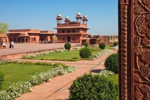 Fatehpur, Bird Sanctuary, Chand Baori Jaipur Drop From Agra
