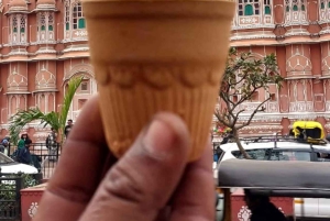 Однодневная экскурсия из Агры: Рантхамбор, Джайпур и Дели