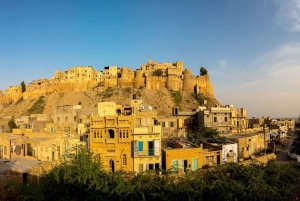 Da Delhi: Tour del Rajasthan di 16 giorni con safari della tigre