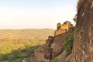 Da Delhi: Tour del Rajasthan di 16 giorni con safari della tigre