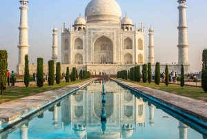 Fra Delhi: 2-dagers tur til Agra, Jaipur og Fatehpur med 5-stjerners hotell