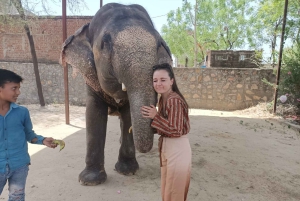 Из Дели: 2-дневный тур по Золотому треугольнику в Агру и Джайпур