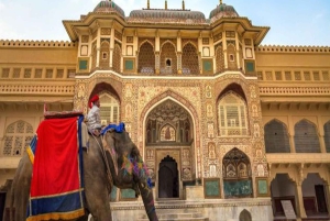 Vanuit Delhi: tweedaagse privérondleiding door Jaipur