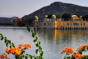 From Delhi: 2-Day Jaipur Tour with Palaces, Forts & Culture
