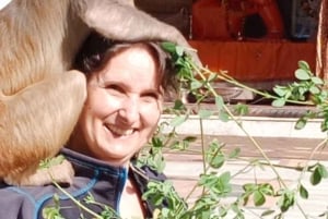 From Delhi: 3-Day Golden Triangle Tour – Delhi, Agra, Jaipur