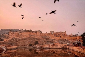 Da Delhi: tour del Triangolo d'Oro di 3 giorni con hotel a 5 e 4 stelle