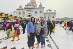 Från Delhi: 3-dagars privat lyxig Golden Triangle Tour