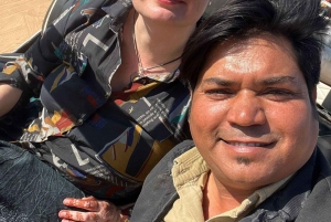 Fra Delhi: 3-dagers Golden Triangle-tur med tigersafari