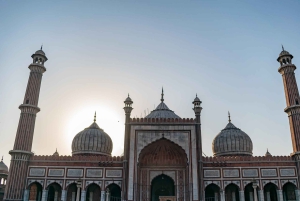 Fra Delhi: 3-dagers Golden Triangle-tur med tigersafari