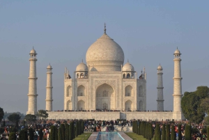 Fra Delhi: 3-dagers Golden Triangle-tur med tigersafari
