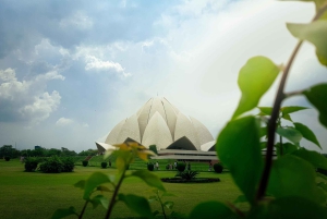 Fra Delhi: 3-dagers Golden Triangle-tur med tigersafari