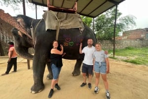 Delhi: Privat 3-dages Jaipur & Ranthambore Tiger Safari-tur