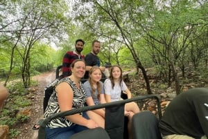 Delhi: Privat 3-dages Jaipur & Ranthambore Tiger Safari-tur