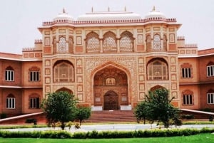 From Delhi: 3-Days Jaipur & Ranthambore Wildlife Safari Tour