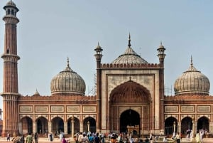 Vanuit Delhi: 3-daagse privétour Gouden Driehoek met hotel