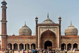 From Delhi: 3-Days Private Golden Triangle Tour with Hotel