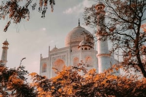 From Delhi: 4-Day Golden Triangle Luxury Tour