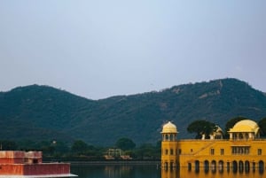 Z Delhi: 4-dniowa wycieczka 'Złoty Trójkąt i safari z tygrysami w Ranthambore
