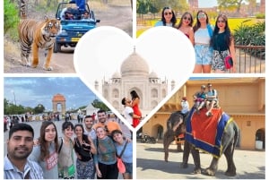 Au départ de Delhi : circuit de 4 jours « Triangle d'or et safari tigre à Ranthambore ».