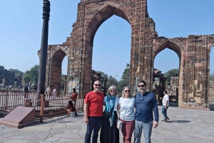 Fra Delhi: 4-dagers Golden Triangle & Ranthambore Tiger Safari