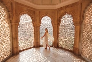 Vanuit Delhi: 5-daagse Golden Triangle & Ranthambore Tiger Safari