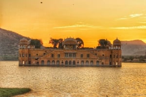 Vanuit Delhi: 5-daagse Golden Triangle & Ranthambore Tiger Safari
