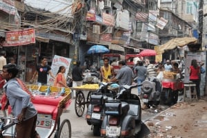 Vanuit Delhi: 5-daagse Golden Triangle & Ranthambore Tiger Safari