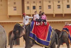 From Delhi: 5 Day Golden Triangle, Safari, & Bird Sanctuary