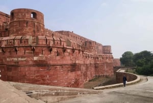 From Delhi: 5 Day Golden Triangle, Safari, & Bird Sanctuary