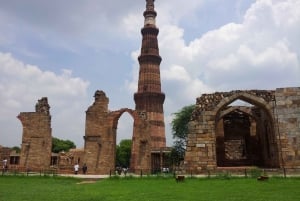 From Delhi: 5 Day Golden Triangle, Safari, & Bird Sanctuary