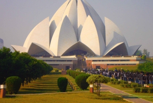 Da Delhi: 5 giorni di Triangolo d'Oro, Safari e Santuario degli Uccelli