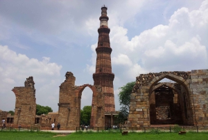 Da Delhi: 5 giorni di Triangolo d'Oro, Safari e Santuario degli Uccelli