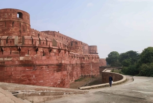 Da Delhi: 5 giorni di Triangolo d'Oro, Safari e Santuario degli Uccelli