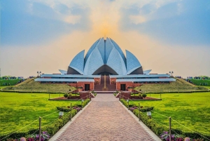 Vanuit Delhi: 5-daagse Gouden Driehoek, Safari & Vogels Tour