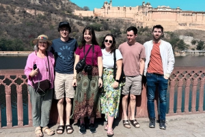 Desde Delhi: Excursión de 5 días al Triángulo de Oro con Ranthambore