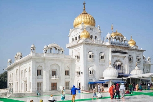 Fra Delhi: 5-dagers tur til Det gyldne triangel med safari og fugleobservasjon