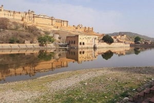 Excursão de 8 dias ao Triângulo Dourado com Ranthambore e Jhalana Safari