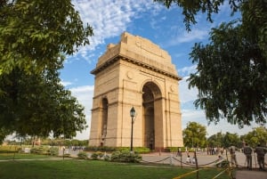 Fra Delhi: 5-dagers Tiger Safari & Golden Triangle Tour