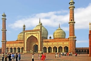 Fra Delhi: 5-dagers Tiger Safari & Golden Triangle Tour