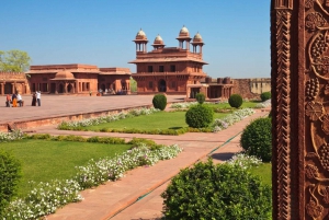 Fra Delhi: 5-dagers Tiger Safari & Golden Triangle Tour