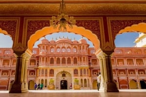 Fra Delhi: 5-dagers Tiger Safari & Golden Triangle Tour