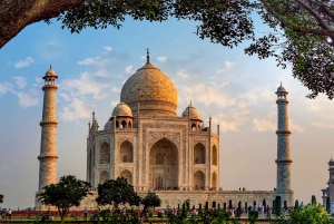 De Delhi: Tiger Safari de 5 dias e excursão ao Triângulo Dourado