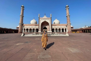 Из Дели: 5-дневный тур по Золотому треугольнику Дели, Агра и Джайпур