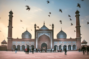 Ab Delhi: 5-tägige Golden Triangle Tour mit Tigersafari