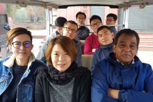 Desde Delhi: Excursión Privada de 6 Días al Triángulo de Oro y Udaipur