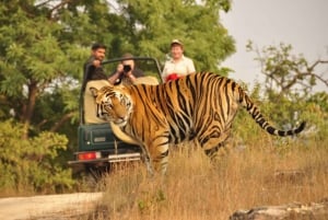 Da Delhi: Tour di 6 giorni del Triangolo d'Oro con Ranthambore