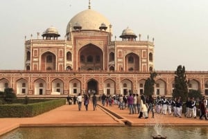 Fra Delhi: 5-dages tur til Den gyldne trekant med bil + afhentning + guide