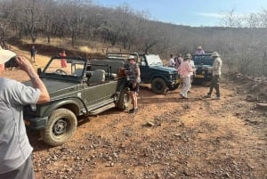 Fra Delhi: 5-dages tur til Den gyldne trekant med bil + afhentning + guide